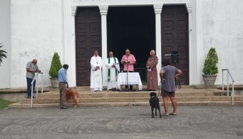 04/10/2022 Blessing of Pets