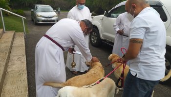 04/10/2021 Blessing of Pets