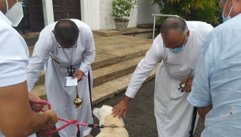 04/10/2021 Blessing of Pets