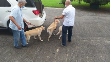 04/10/2021 Blessing of Pets