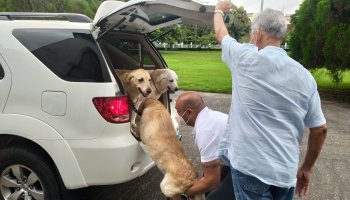 04/10/2021 Blessing of Pets